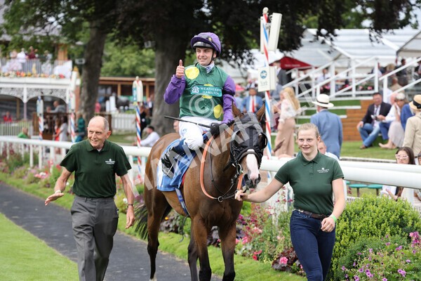 yr24072021r5-71 - Race 5 4.25pm Sky Bet Best Odds Guaranteed Stakes