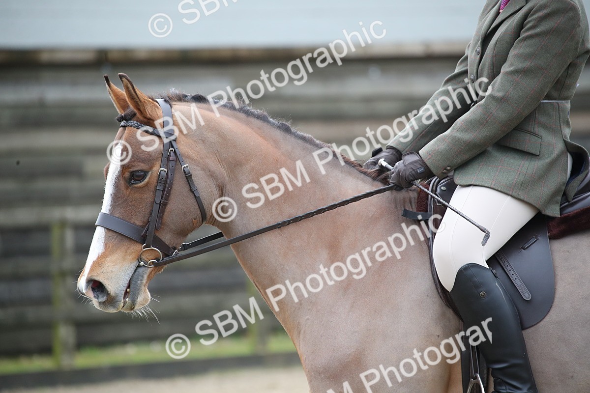 SBM_004756 - Class 5-9 - NPS In Hand-Show Hunter-Intermediate Ridden Inc Ridden Championship