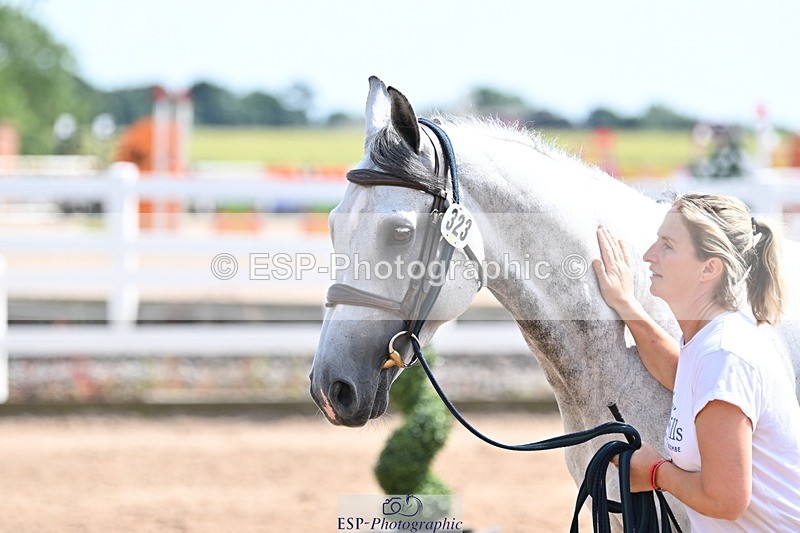 240717A-153130-02866 - Trot Up 3pm to 4pm