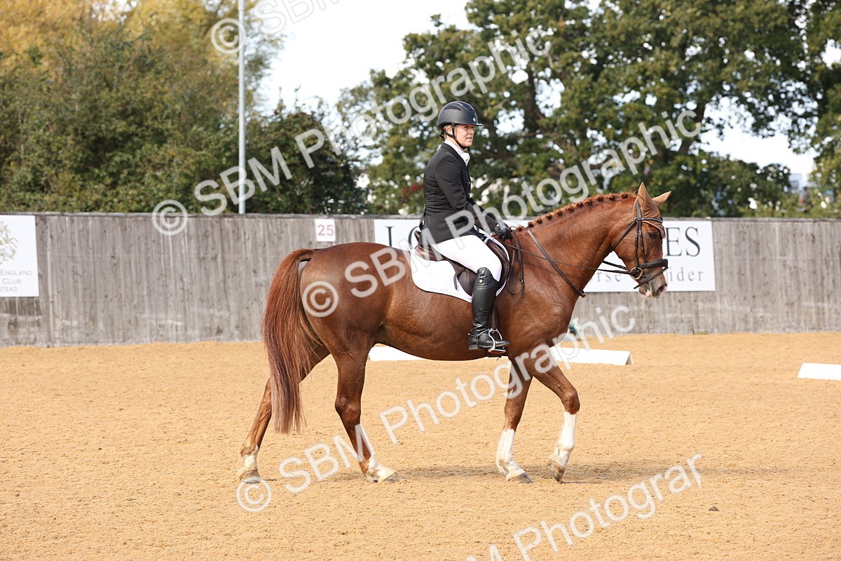 SBM_20234 - D10 - Small Tour Championship Prelim 2