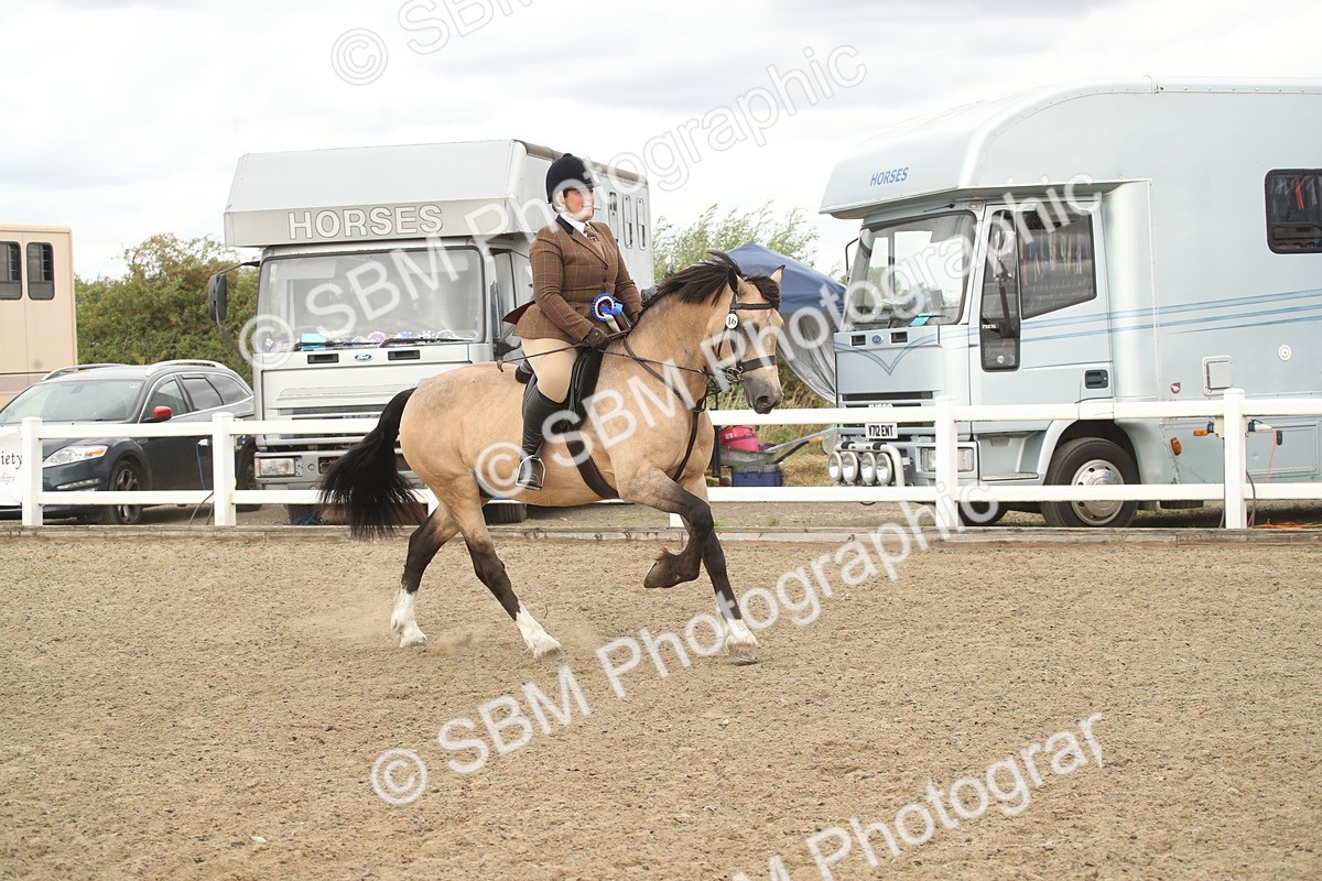 SBM_16716 - Class 507a - Working Veteran - 60cm (15-19)