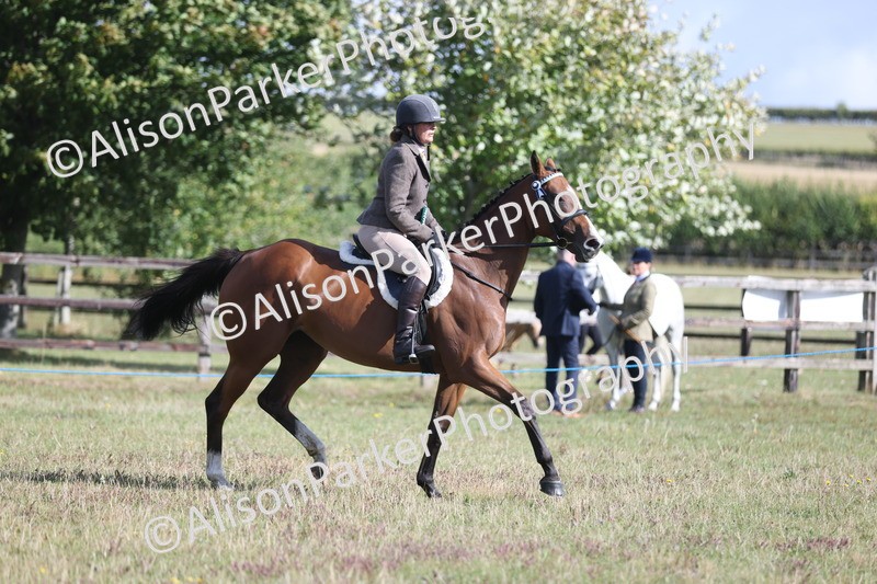 20250831-0963 - Class 14 - Ex Racehorse