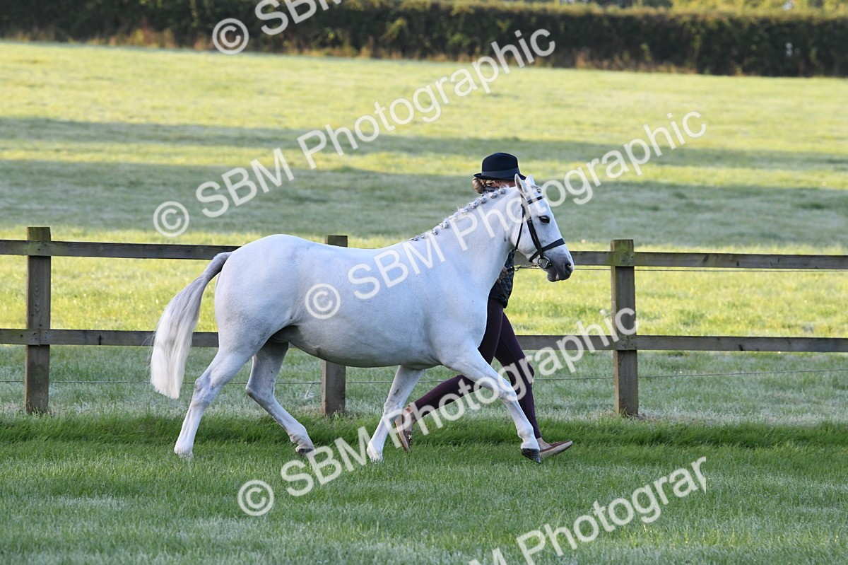 SBM_32508 - S15 - Condition & Turnout In Hand