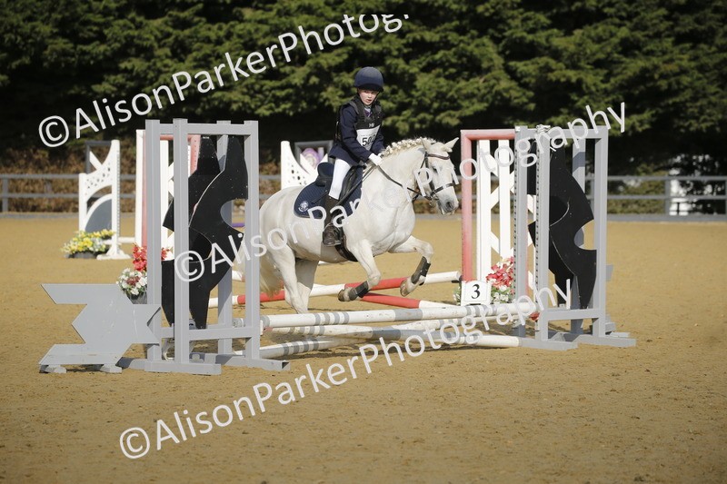 20250622-1148 - 40cm