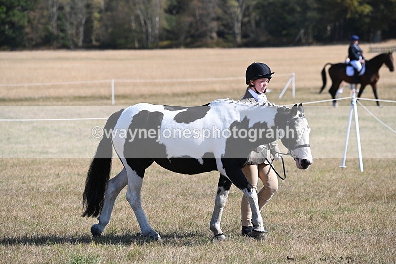 WJ6_7426 - Class 34 Judges Choice