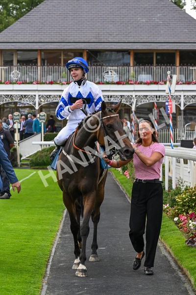 250725-Race 4-Dicko The Legend-0644 - Race 4 7.13pm Tomahawk Restaurants Handicap