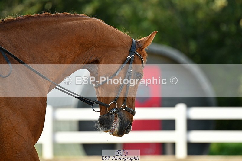 230912A-172511-02009 - Cls 23 FEI Grand Prix