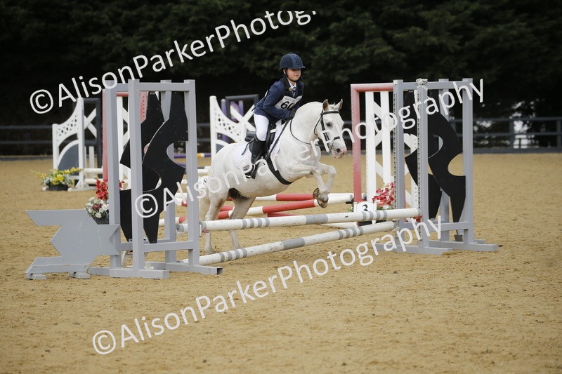 20250622-3610 - 50cm