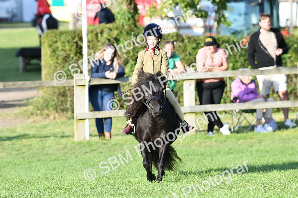 SBM_54061 - S23 - 1st Ridden Mountain & Moorland Pony