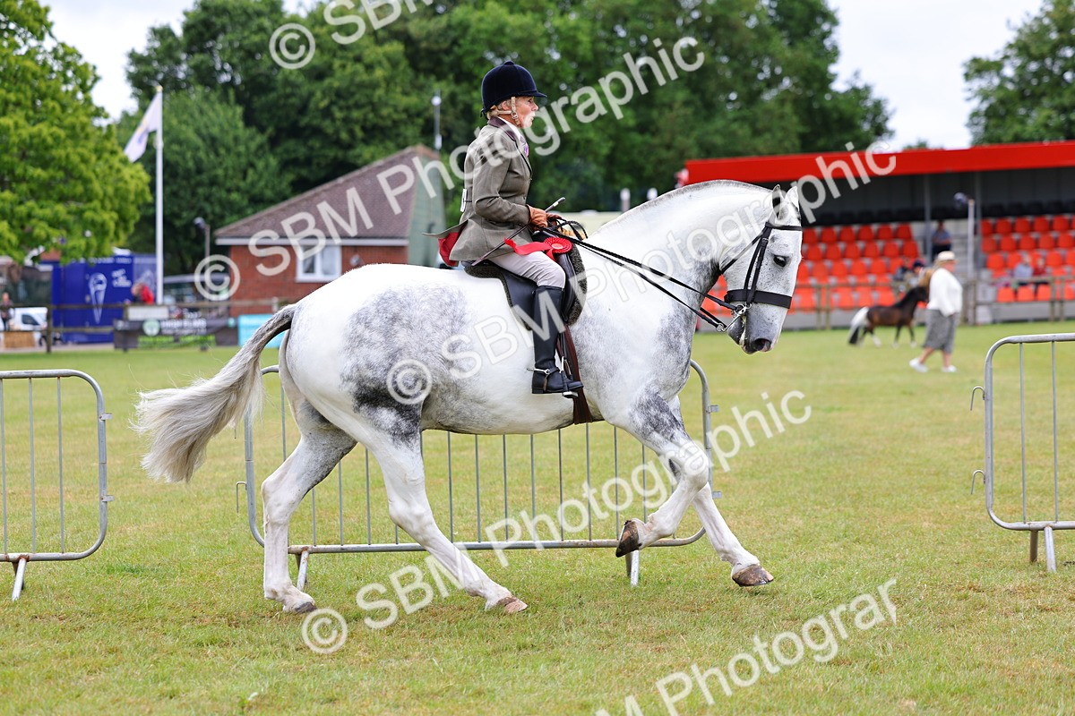SBM_02617 - Class 9-11 Side Saddle including LIHS Rising Star Ladies Show Horse