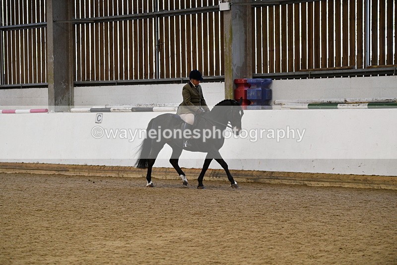 WJ5_7680 - Class 13 Ridden Part Breed