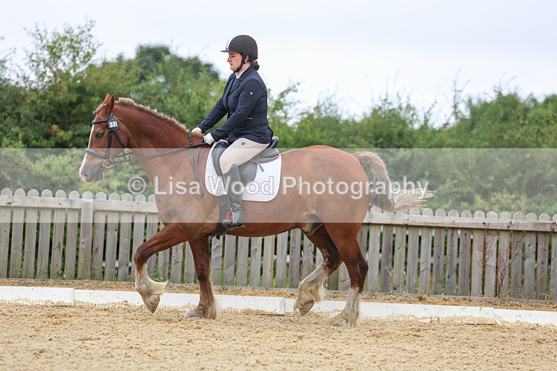 3E7A4739 - Class 1: Intro 4 2024 section A