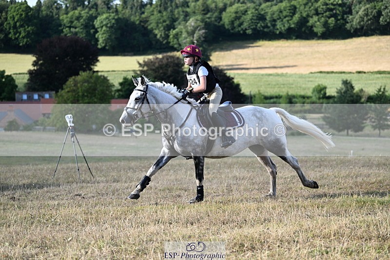 250803A-181400-18642 - R-824-Poppy.Wilkinson-DAISY.DER.BLUME