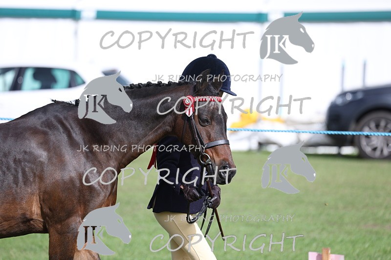 APP_2563 - Class 9 Veterans in hand