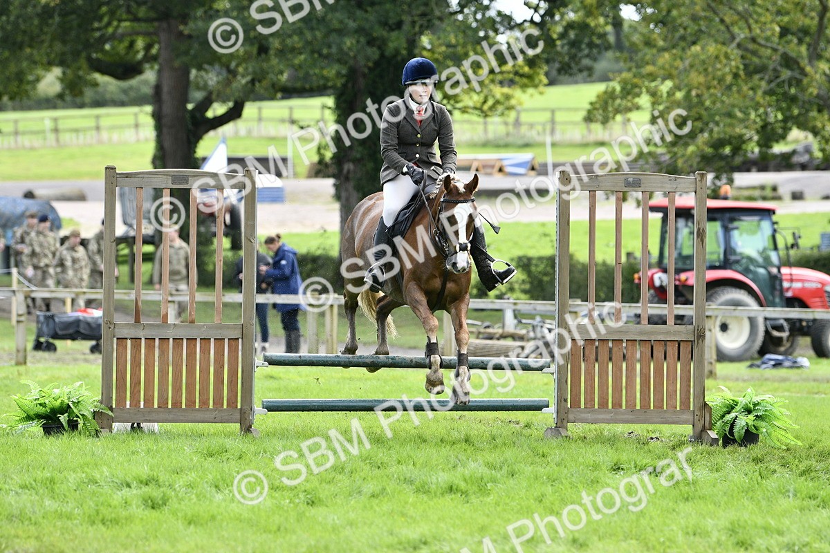SBM_45641 - S33 - Working Hunter Pony