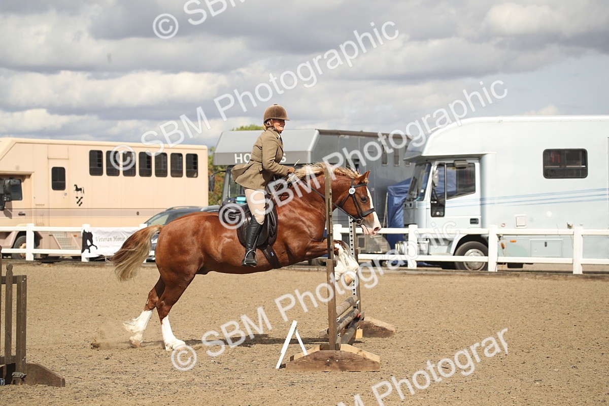 SBM_14555 - Class 505a - M&M Working Veteran - 50cm (15-19)