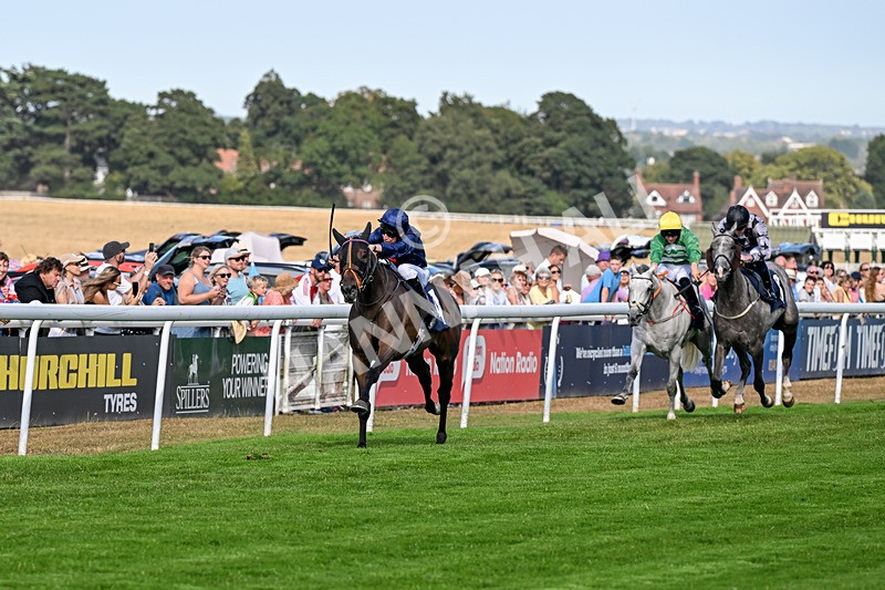 130826-Race 5-Wardlaw-9452 - Race 5 16.15pm Middle Distance Handicap
