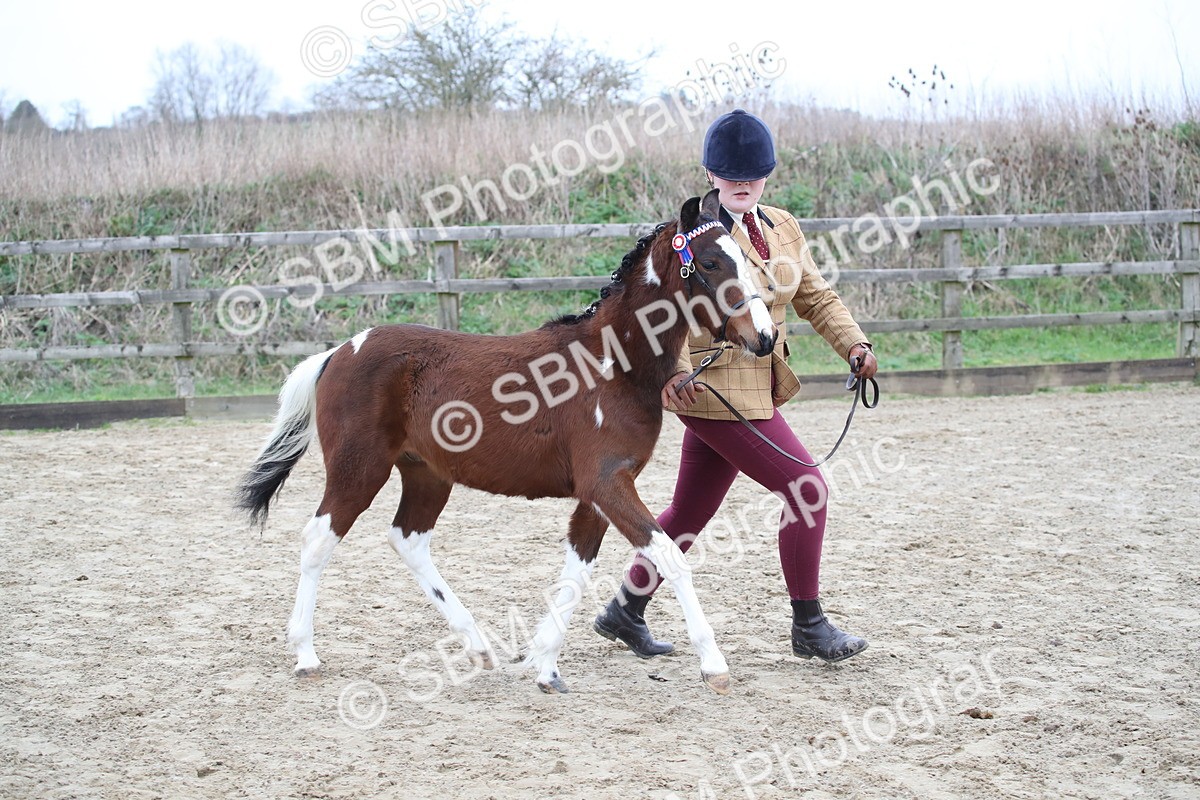 SBM_004576 - Class 5-9 - NPS In Hand-Show Hunter-Intermediate Ridden Inc Ridden Championship