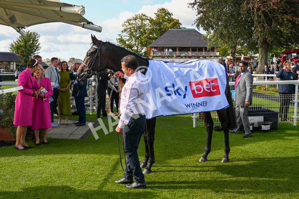 240824-Race 5-Elmonjed-1596 - Race 5 4.10pm Sky Bet Constantine Handicap