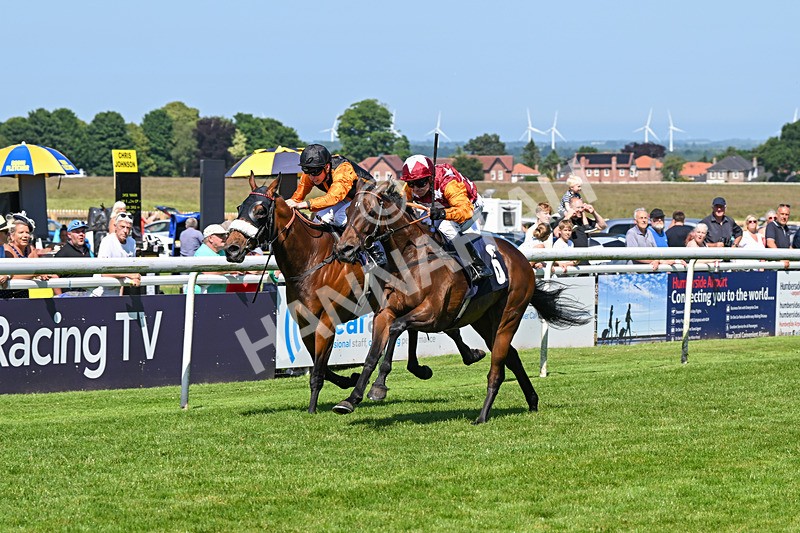 250624-Race 4-Lincoln Rockstar-5635 - Race 4