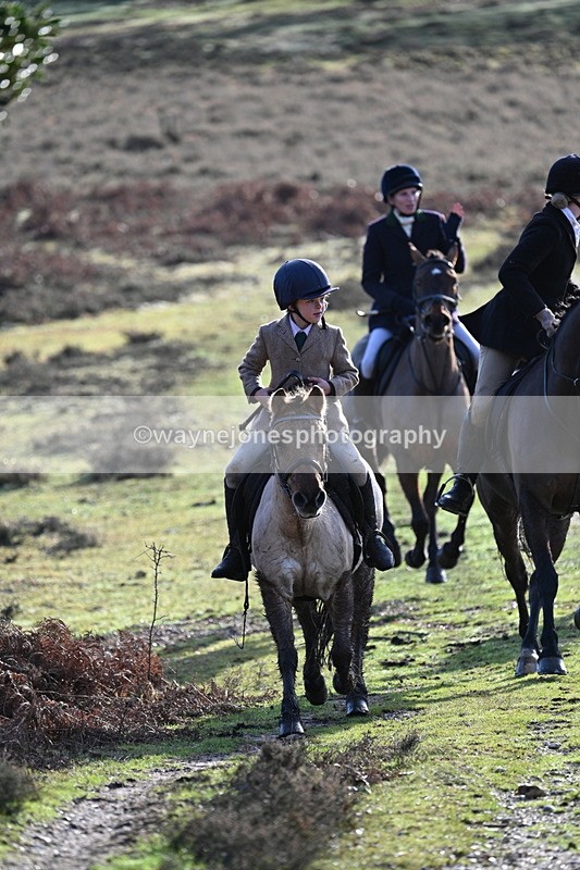 WJ7_8076 - Line 3 (no line 4 or 5)