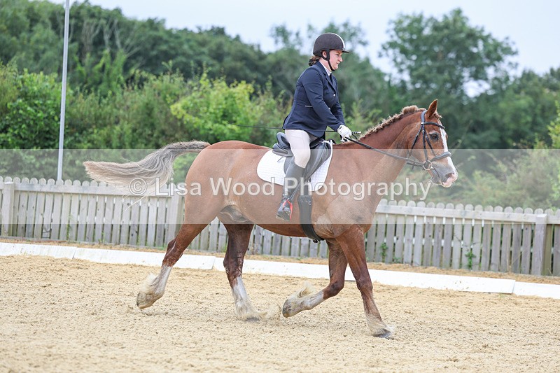 3E7A4749 - Class 1: Intro 4 2024 section A