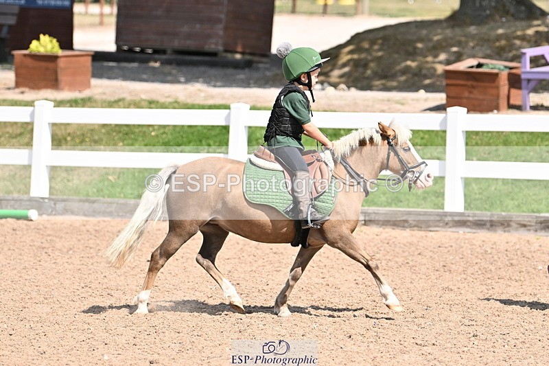 250821B-142927-00780 - Group D - Thomasina