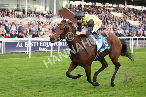 yr07102022r5-22 - Race 5 4.25pm Copper Knight Winningmost Horse Stakes