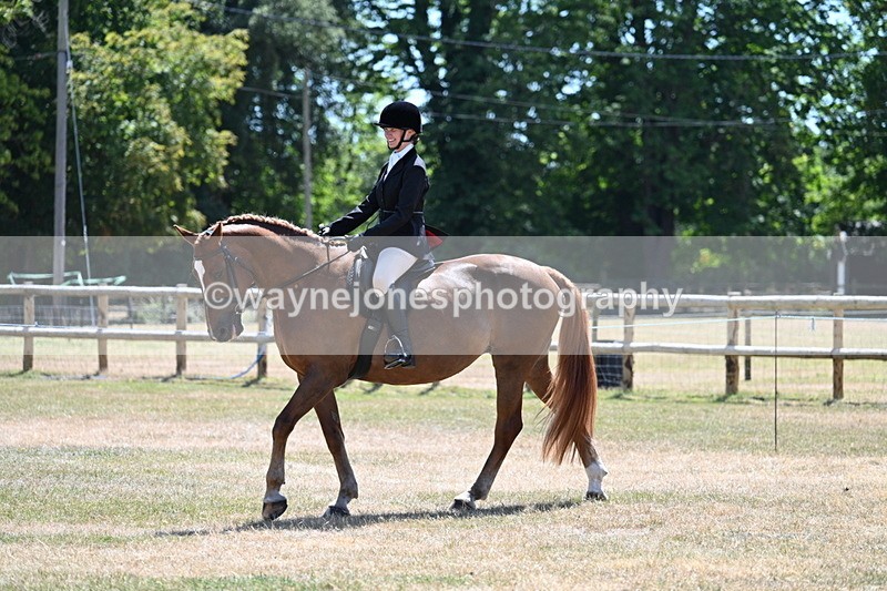 WJ7_2729 - Class 7 Riding Club Show Horse