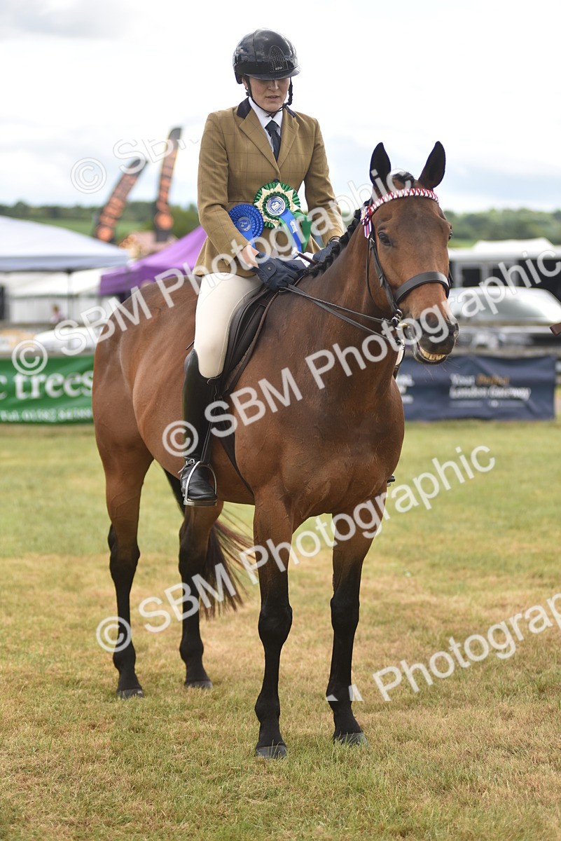 SBM_15135 - Class 113-114 - Retraining of Racehorses Ridden