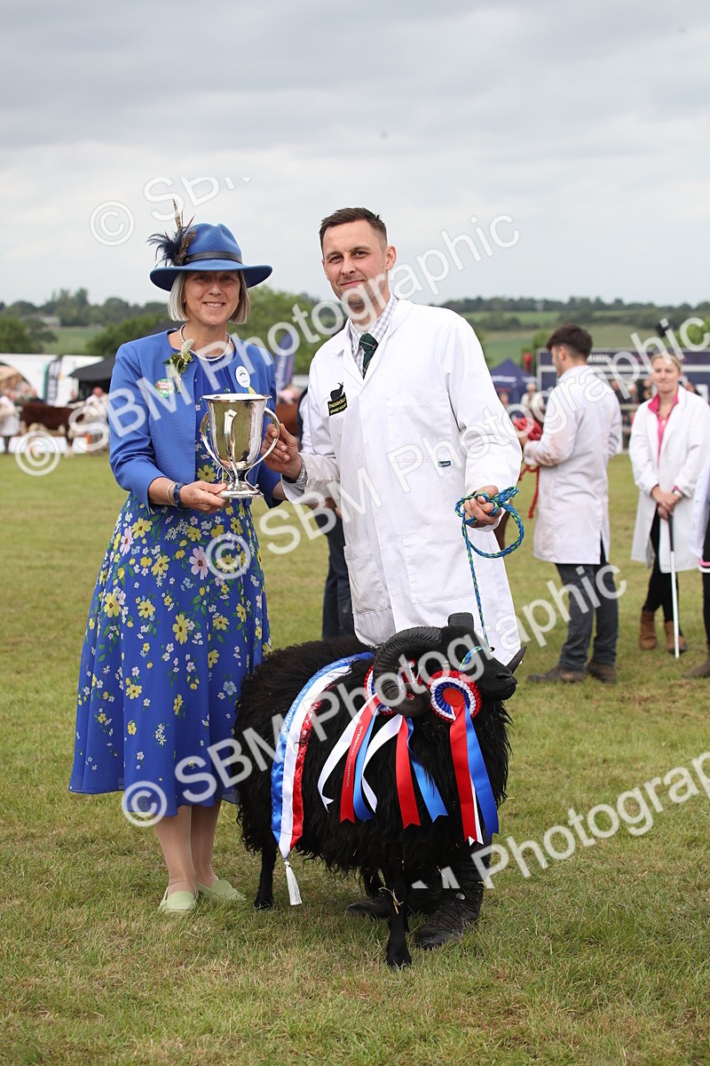 SBM_07895 - Grand Parade