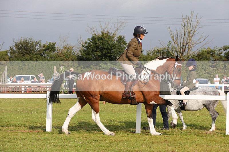 1X9A2910 - Class 25: Ridden Plaited Coloured Horse