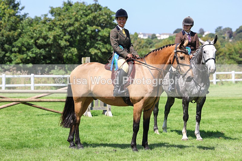 3E7A9099 - Class 6: Open Working Horse