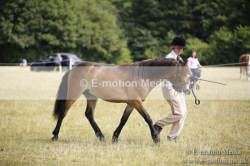 _C7A9663 - BVRC Sow 2018 Ring 2