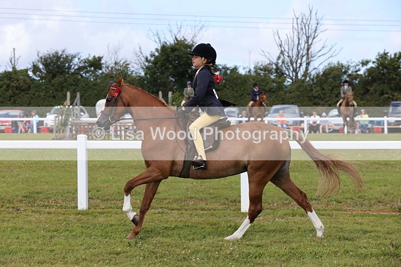 1X9A3895 - Class 31: Show Pony 148cm and under