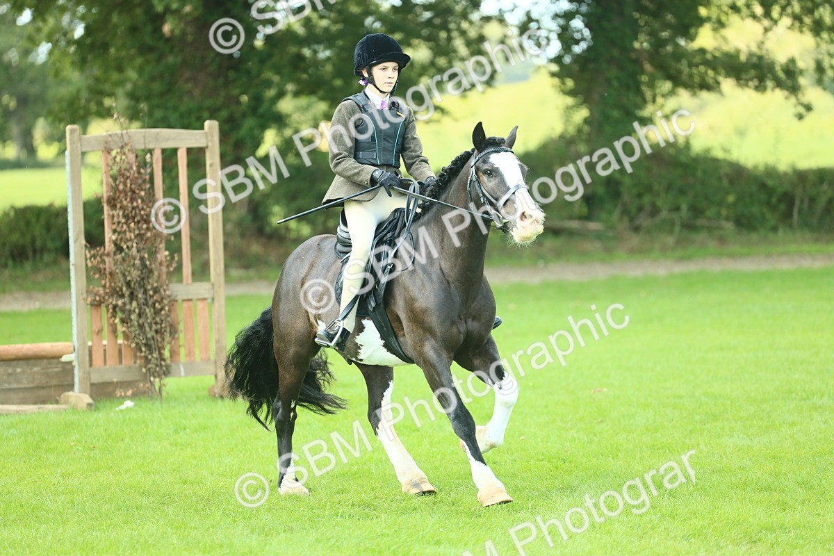 SBM_42018 - S29 - Novice & Newcomers Working Hunter Pony