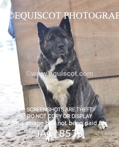 JAC_8533 - CLASS 9 LARGE OPEN 1M