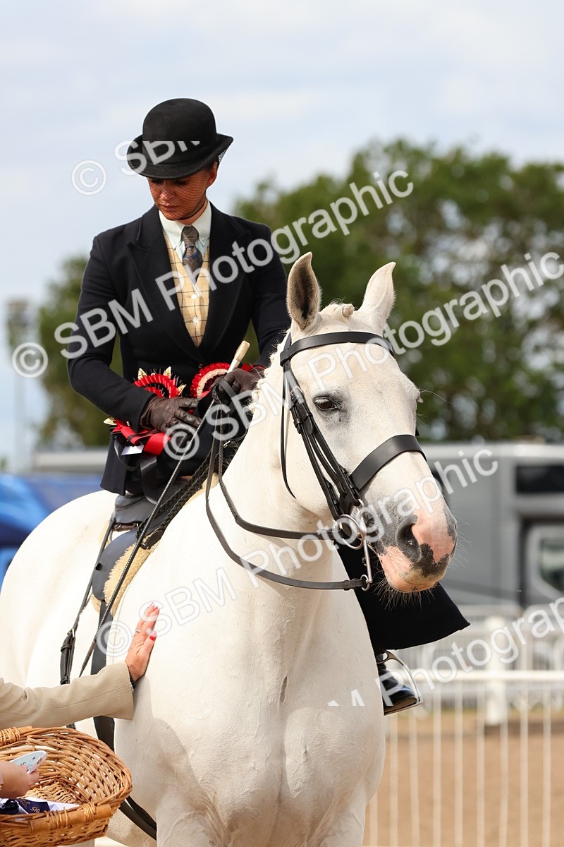 SBM_15914 - Class 216 - Best Side Saddle Horse-Pony
