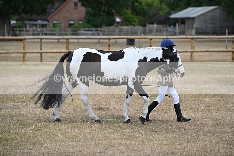 WJ6_7879 - Class 10 Coloured in Hand