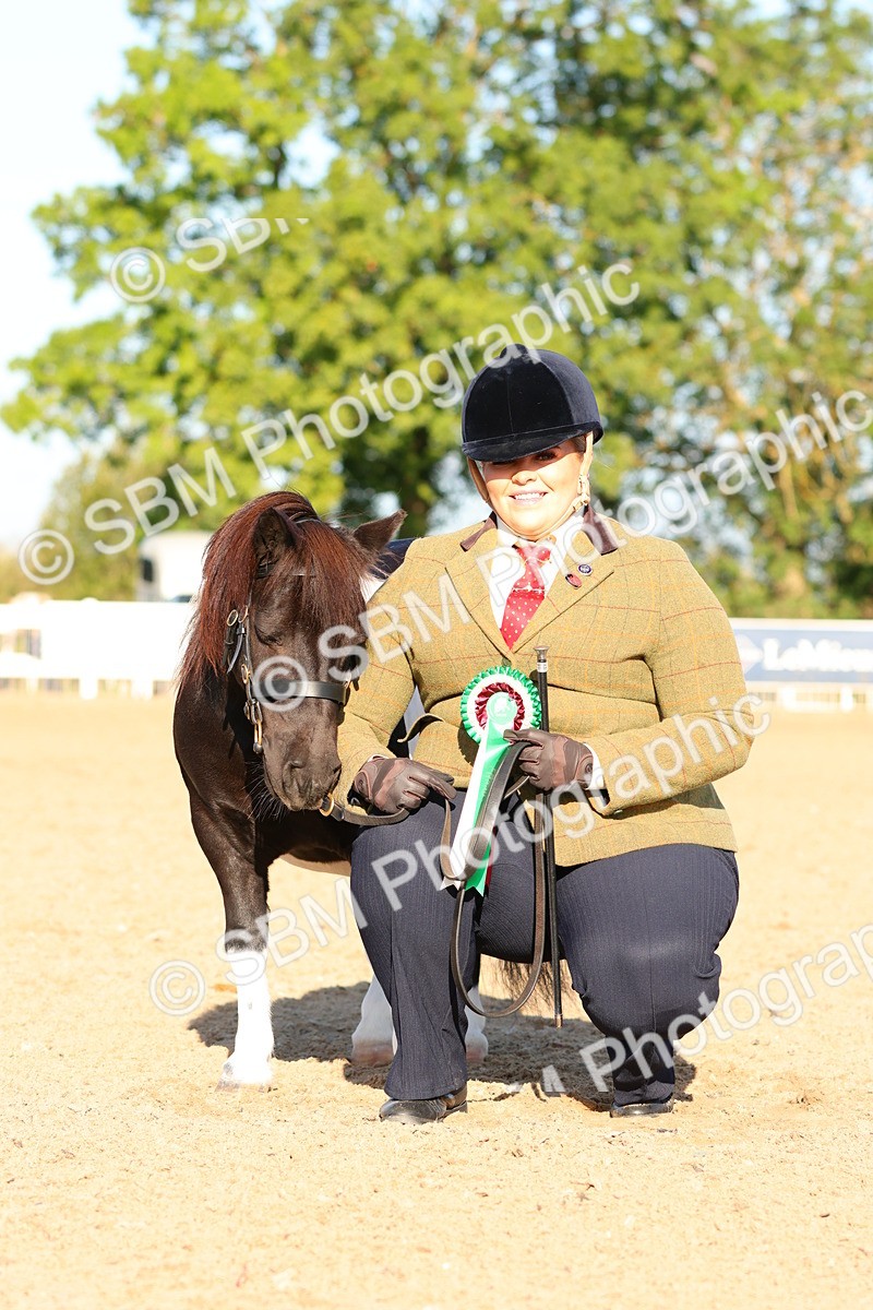SBM_08092 - Class 201 - Best Turned Out - IH