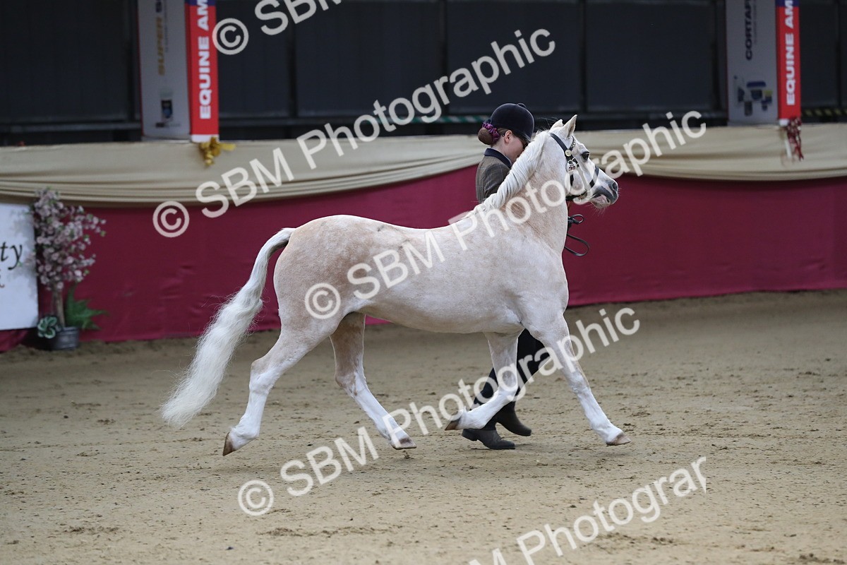 SBM_00352 - Class 1a - Area IH Diamond