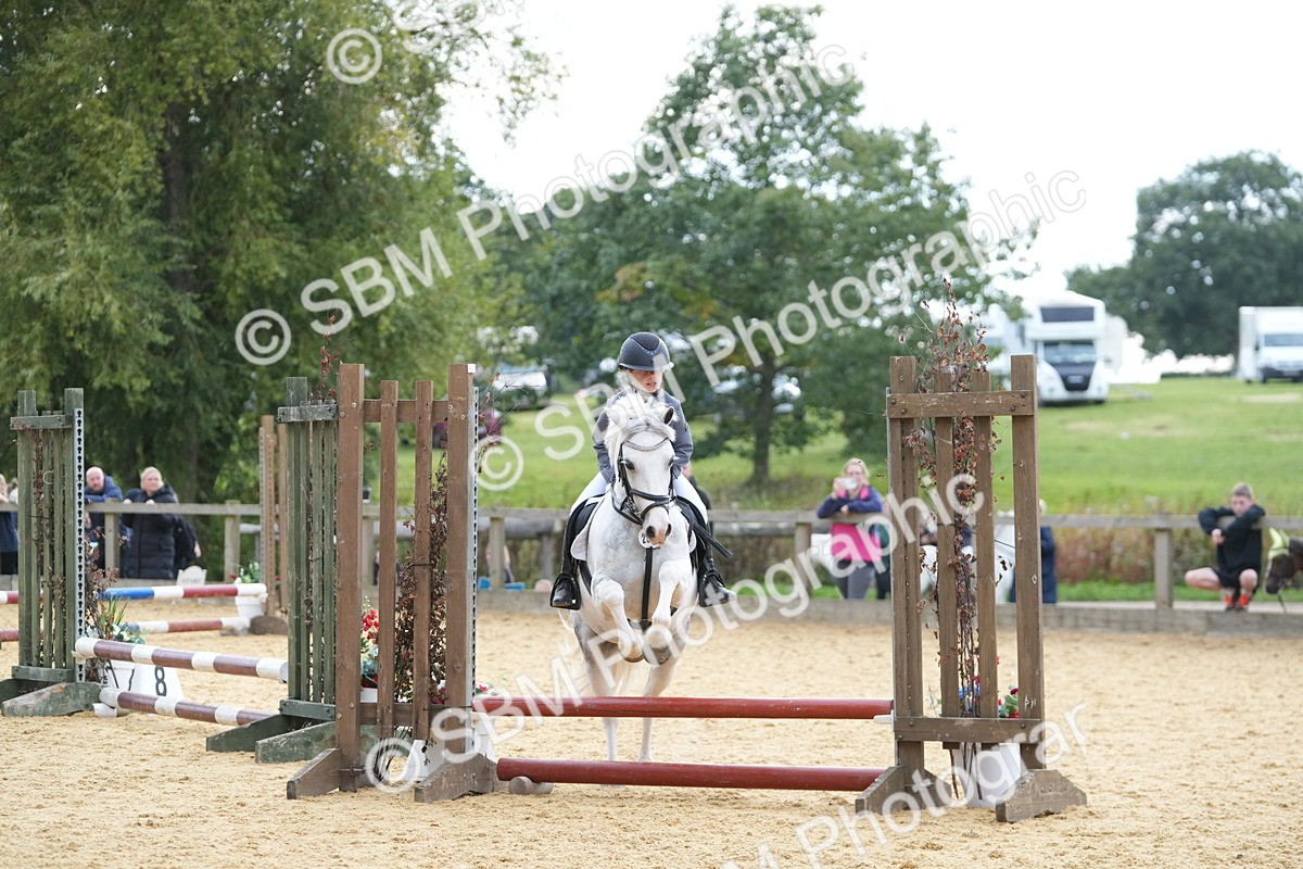 SBM_74681 - J4 - Mini Tour Junior Pony 45cm Championship