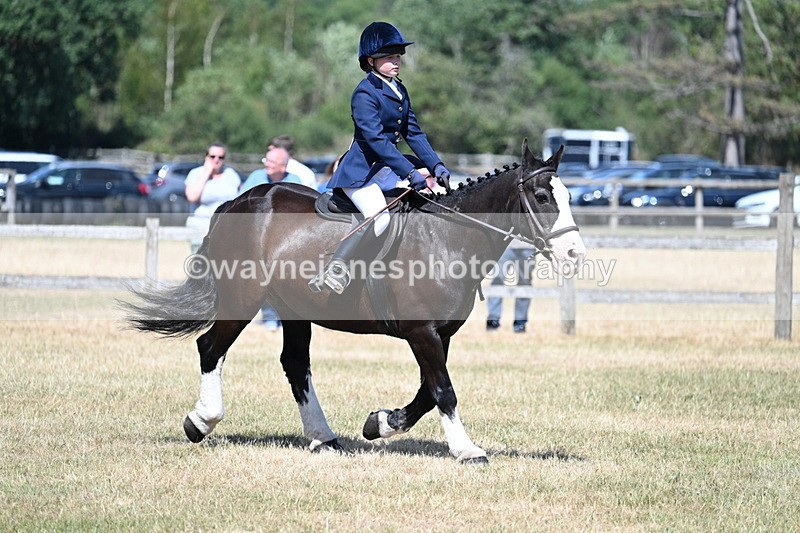 WJ7_3707 - Class 8 Ridden Veterans