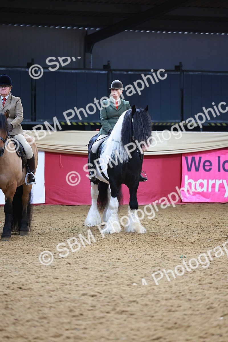 SBM_09853 - Class 102 - HOYS Veteran Qualifier - Ridden Veteran