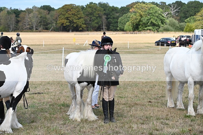 WJ6_6727 - Class 20 In-hand Cob