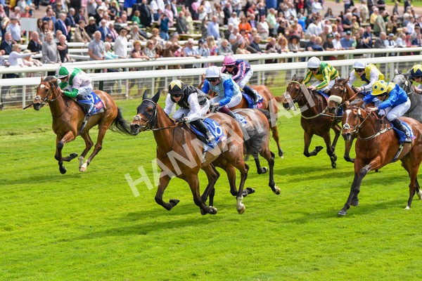 170523-Race 1-Scampi-8574 - Race 1 1.50pm Sky Bet Race To The Ebor Jorvik Handicap