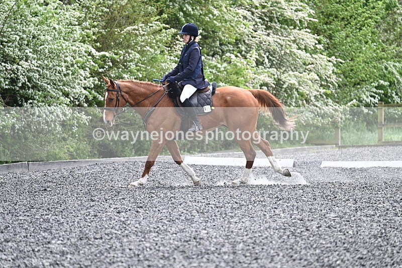 WJ7_0809 - Time 14:01 to 14:12