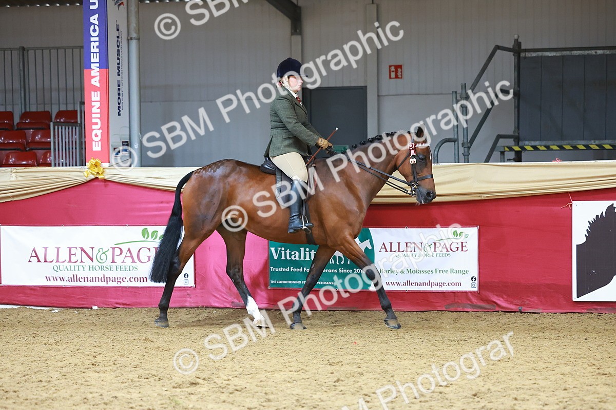 SBM_10502 - Class 103 - HOYS Veteran Qualifier - Ridden Pre Vet