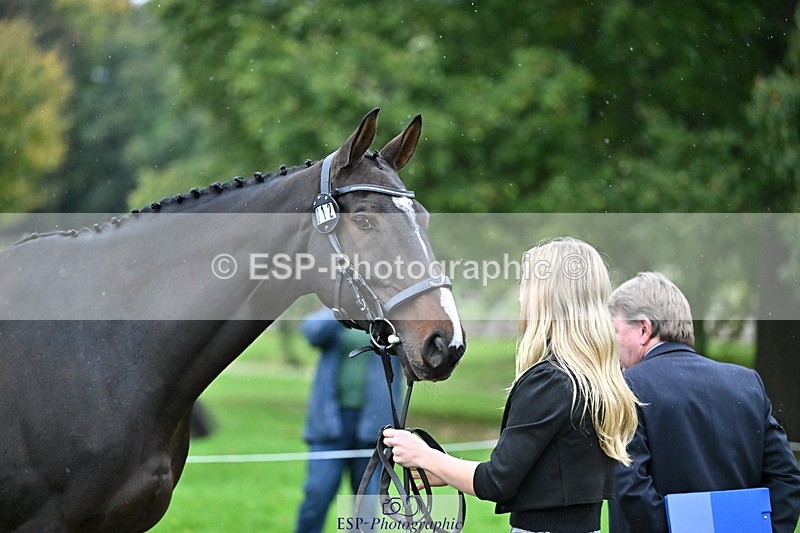 251022A-160929-00731 - A-012-Beth.Hobden