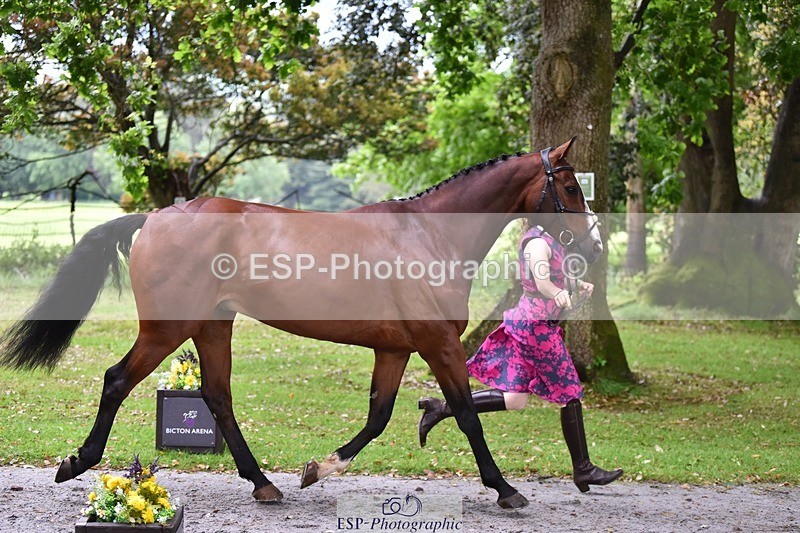 240522-160322-00685 - 117-KASAGRANDE_VR-Gemma_Watts